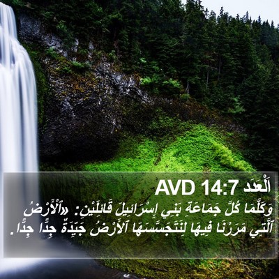 اَلْعَدَد 14:7 AVD Bible Verse Image