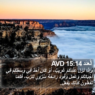 اَلْعَدَد 15:14 AVD Bible Verse Image
