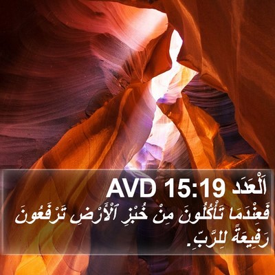 اَلْعَدَد 15:19 AVD Bible Verse Image
