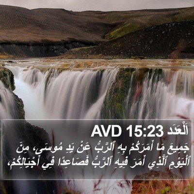 اَلْعَدَد 15:23 AVD Bible Verse Image