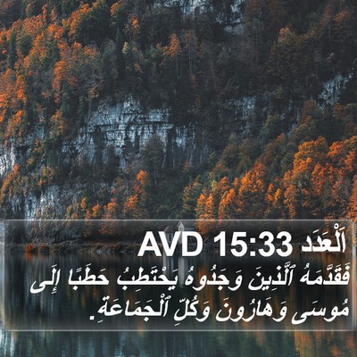 اَلْعَدَد 15:33 AVD Bible Verse Image