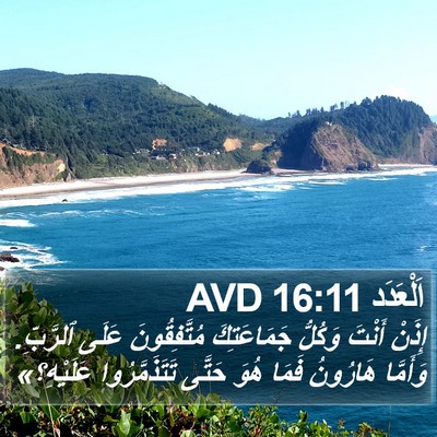 اَلْعَدَد 16:11 AVD Bible Verse Image