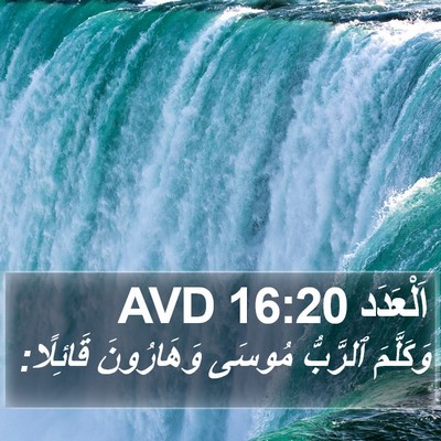 اَلْعَدَد 16:20 AVD Bible Verse Image