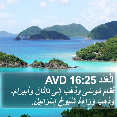اَلْعَدَد 16:25 AVD Bible Verse Image