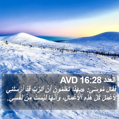 اَلْعَدَد 16:28 AVD Bible Verse Image