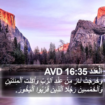 اَلْعَدَد 16:35 AVD Bible Verse Image