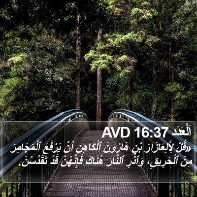 اَلْعَدَد 16:37 AVD Bible Verse Image