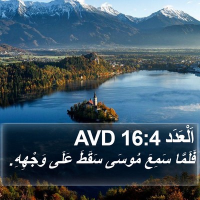 اَلْعَدَد 16:4 AVD Bible Verse Image