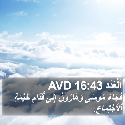 اَلْعَدَد 16:43 AVD Bible Verse Image