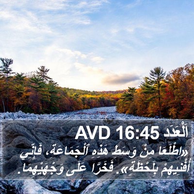 اَلْعَدَد 16:45 AVD Bible Verse Image