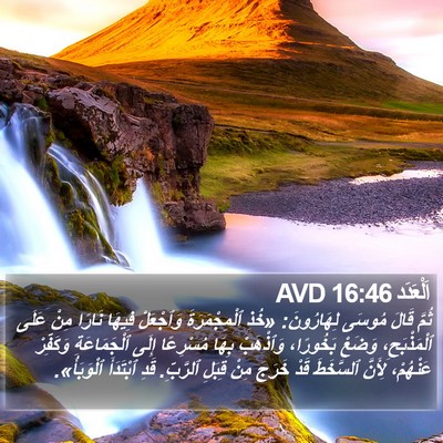 اَلْعَدَد 16:46 AVD Bible Verse Image