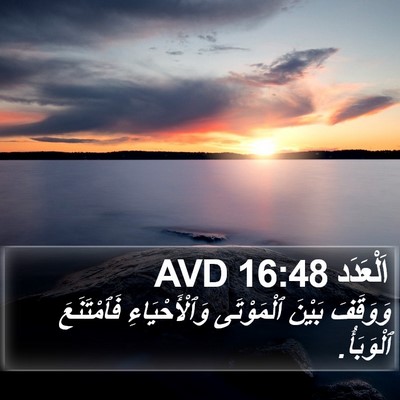اَلْعَدَد 16:48 AVD Bible Verse Image
