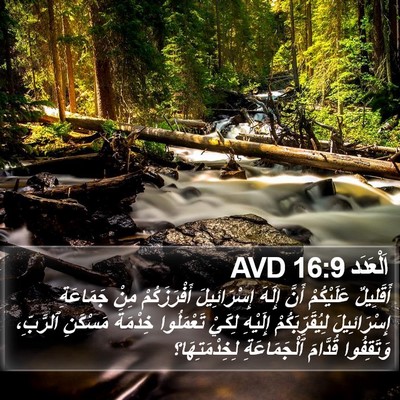 اَلْعَدَد 16:9 AVD Bible Verse Image