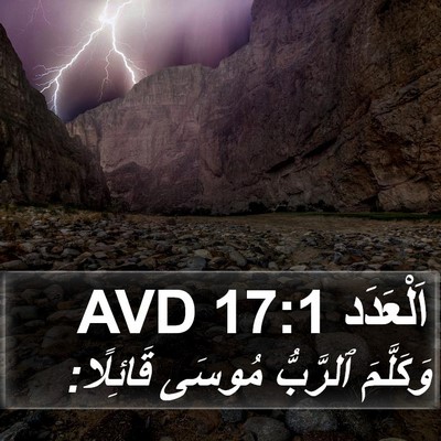 اَلْعَدَد 17:1 AVD Bible Verse Image