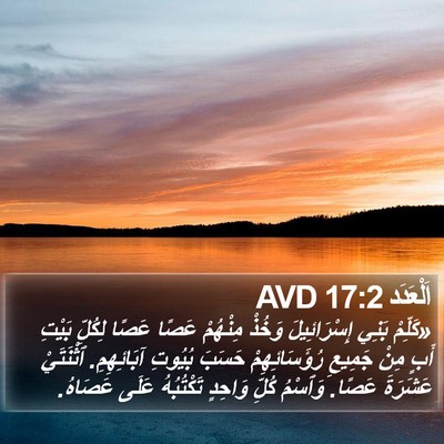 اَلْعَدَد 17:2 AVD Bible Verse Image