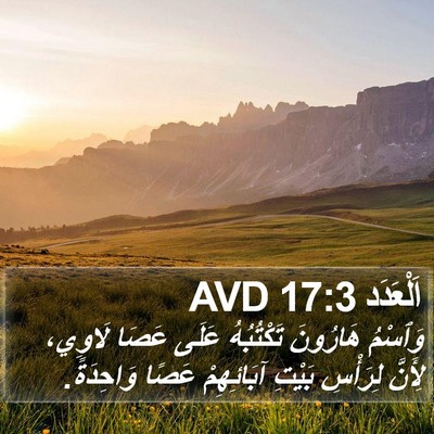 اَلْعَدَد 17:3 AVD Bible Verse Image