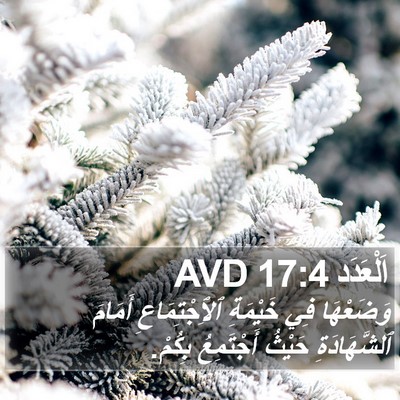 اَلْعَدَد 17:4 AVD Bible Verse Image
