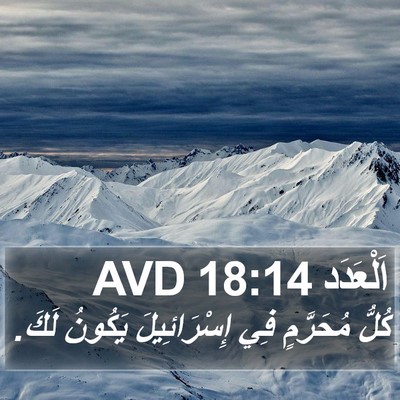 اَلْعَدَد 18:14 AVD Bible Verse Image
