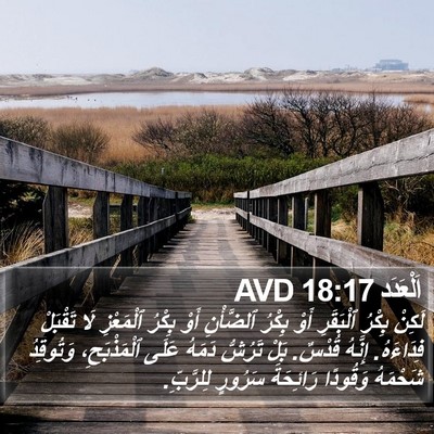 اَلْعَدَد 18:17 AVD Bible Verse Image