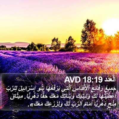 اَلْعَدَد 18:19 AVD Bible Verse Image