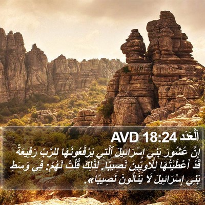 اَلْعَدَد 18:24 AVD Bible Verse Image