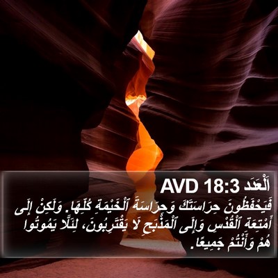 اَلْعَدَد 18:3 AVD Bible Verse Image