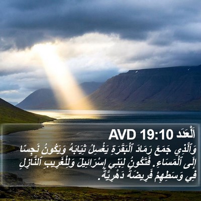 اَلْعَدَد 19:10 AVD Bible Verse Image