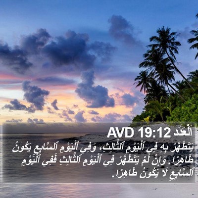 اَلْعَدَد 19:12 AVD Bible Verse Image