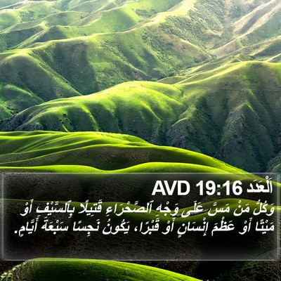 اَلْعَدَد 19:16 AVD Bible Verse Image