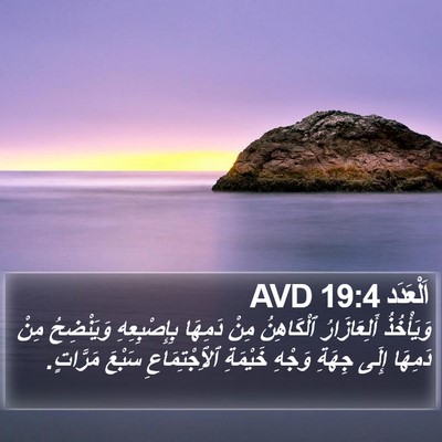اَلْعَدَد 19:4 AVD Bible Verse Image