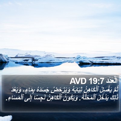 اَلْعَدَد 19:7 AVD Bible Verse Image
