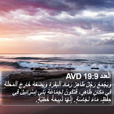 اَلْعَدَد 19:9 AVD Bible Verse Image