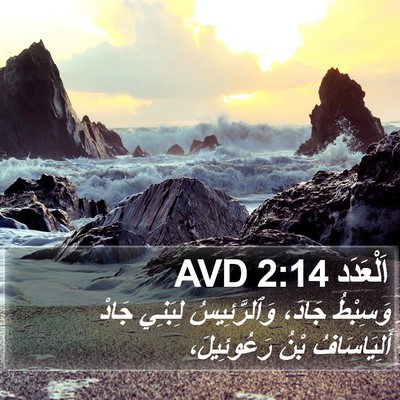 اَلْعَدَد 2:14 AVD Bible Verse Image