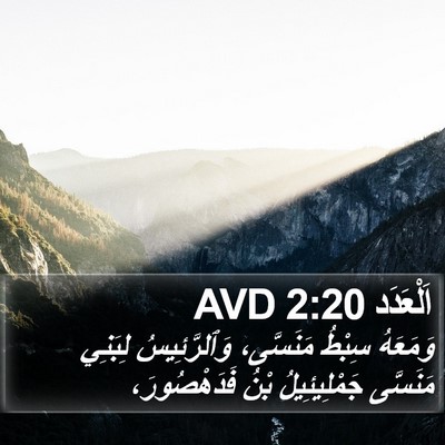 اَلْعَدَد 2:20 AVD Bible Verse Image