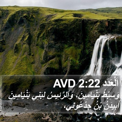 اَلْعَدَد 2:22 AVD Bible Verse Image