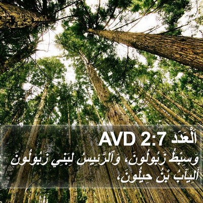 اَلْعَدَد 2:7 AVD Bible Verse Image