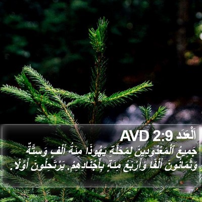 اَلْعَدَد 2:9 AVD Bible Verse Image