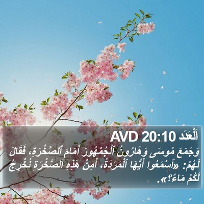 اَلْعَدَد 20:10 AVD Bible Verse Image