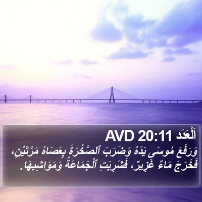 اَلْعَدَد 20:11 AVD Bible Verse Image