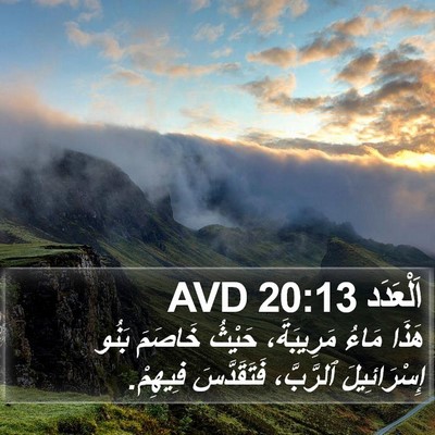 اَلْعَدَد 20:13 AVD Bible Verse Image