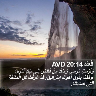 اَلْعَدَد 20:14 AVD Bible Verse Image