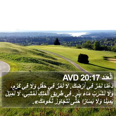 اَلْعَدَد 20:17 AVD Bible Verse Image