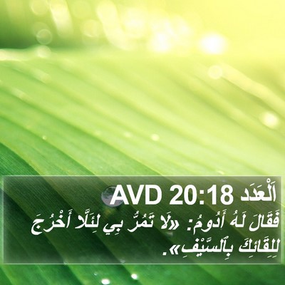 اَلْعَدَد 20:18 AVD Bible Verse Image