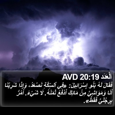 اَلْعَدَد 20:19 AVD Bible Verse Image
