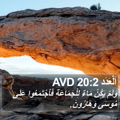 اَلْعَدَد 20:2 AVD Bible Verse Image