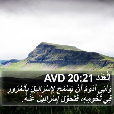 اَلْعَدَد 20:21 AVD Bible Verse Image
