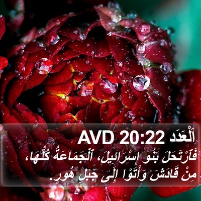 اَلْعَدَد 20:22 AVD Bible Verse Image