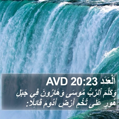 اَلْعَدَد 20:23 AVD Bible Verse Image