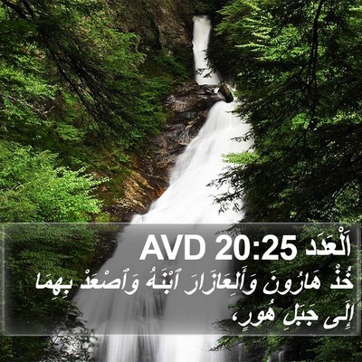 اَلْعَدَد 20:25 AVD Bible Verse Image