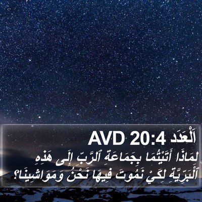 اَلْعَدَد 20:4 AVD Bible Verse Image